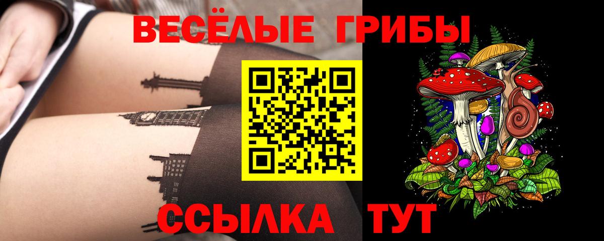 Псилоцибиновые грибы ЛСД Туапсе